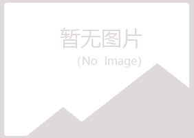 大关县山柏零售有限公司